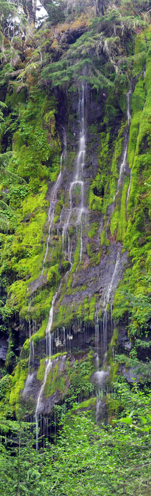 pinnacle falls graphic